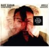 Dave Gahan & Soulsavers - Angels & Ghosts, 1 Audio-CD