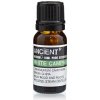 Ancient Wisdom Esenciálny olej Biely Gáfor 10 ml