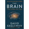 Brain - David Eagleman