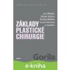 Základy plastické chirurgie - Měšťák Jan, Molitor Martin, Měšťák Ondřej, Kalinová Lucie a kolektív