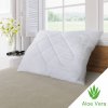 Vankúš ALOE VERA zips 70x90cm 700g