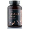 Herbatica Čaga sibírska FORTE 60 vegánskych kapsúl (600mg/ kapsula)