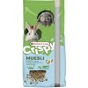 Versele Laga Crispy Muesli Rabbit - kompletné krmivo pre králika 20kg