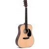 Sigma Guitars SDM-STE