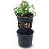 Prosperplast KKvetináč na pestovanie zemiakov POTATO Grower 29,5cm
