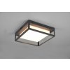 TRIO 677860142 WITHAM exteriérové stropné svietidlo SMD LED V100mm 14W/1550lm 2300+3000+4000K IP54 antracit