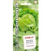 Dobré semená Šalát celoročný ľadový - Kamelot 0,4g