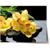 Sablio Plagát Žlté Orchidey - 90x60 cm