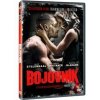 Bojovník DVD