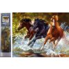 Norimpex Diamantové maľovanie Kone v rieke 30 x 40 cm