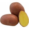 Sadbové zemiaky Red Anna - Solanum tuberosum - 5 kg