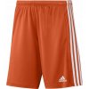 Adidas Squadra 21 M