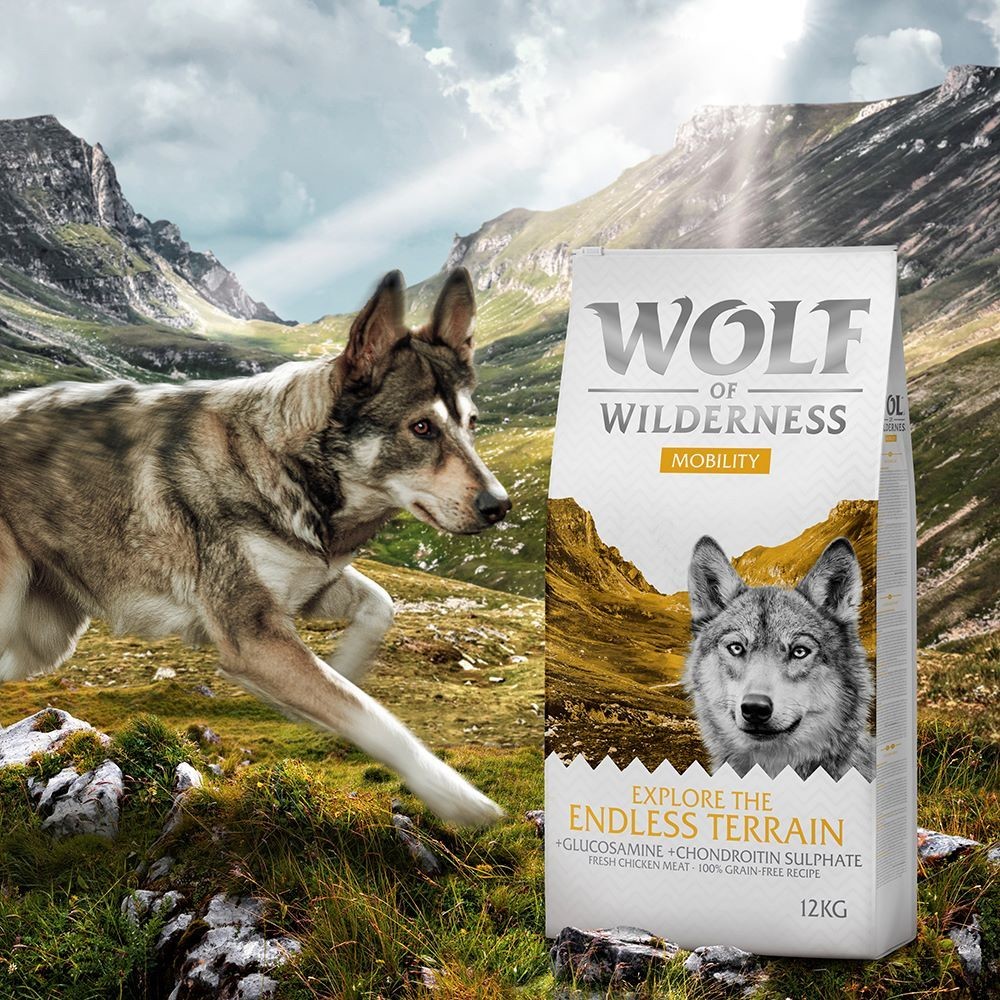 Wolf of Wilderness Elements! Fiery Volcanoes jahňacie 1 kg