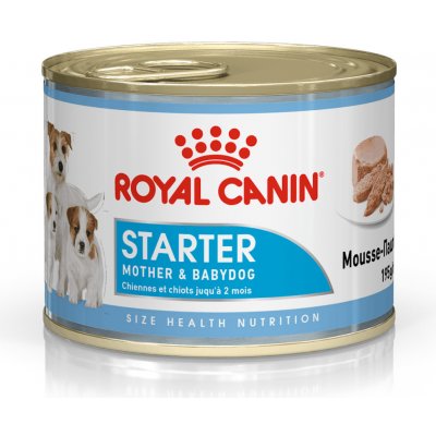 Royal Canin Starter Mousse 12 x 195 g