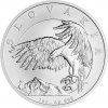 Česká mincovna Strieborná minca Orol 2024 stand 1 oz