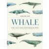 Adam Hook - Whale