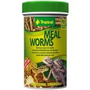 Tropical Meal Worms 100 ml