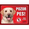 Juko Plastová tabuľa Pozor Pes Labrador svetlý 21 x 14,7 cm