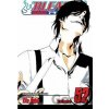 Bleach Kubo Tite