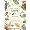 Your Guide to Forest Bathing (Expanded Edition)