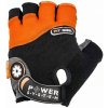 Power System FIT GIRL PS-2900