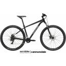 Cannondale Trail2021