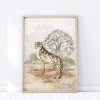 lovel Plagát Safari - Gepard P325