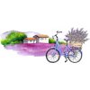 Plagát, Obraz - Lavender flowers, bicycle with bouquet in, zzorik, 40 × 22.2 cm