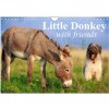 Little Donkey with Friends (Wall Calendar 2024 DIN A4 landscape), CALVENDO 12 Month Wall Calendar