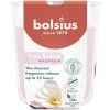 Bolsius True Scents Magnolia 73 x 80 mm