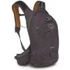 Osprey Raven 14 l space travel grey
