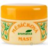 aromatica NECHTIKOVA MASŤ 1x100 ml