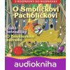 O Smolíčkovi Pacholíčkovi, Zlaté hviezdičky, O Boušinskom zázraku - Lenka Tomešová