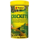 TROPICAL-CRICKETS 100ml