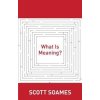 What Is Meaning?