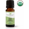 Plant Therapy Organic Respir Aid Podpora dýchania esenciálny olej 10 ml