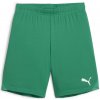 Puma | teamGOAL Shorts Jr | zelená| 152