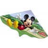 Günther Šarkan Mickey Mouse 115x63 cm