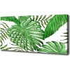 Moderný obraz canvas na ráme Tropické lístia 100x50 cm