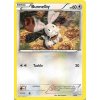 Bunnelby 4/30 - XY Trainer Kit