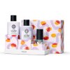 Maria Nila Sheer Silver Gift Box
