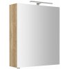 Sapho RIWA GALERKY RIWA galérka s LED osvetlením, 60x70x17cm, dub Alabama RIW060-0022
