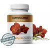 MycoMedica Auricularia extrakt 90 kapsúl