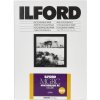 1x100 Ilford MG RC DL 25M 10x15 10,5x14,8