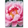 Vymalujsisam.sk Diamantové maľovanie - Kvet pivonky Veľkosť: 20x30cm, Rám: Na kartónovej doske, Diamanty: Okrúhle