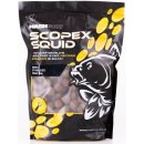 Kevin Nash Scopex Squid Stabilised Boilies 1kg 20mm