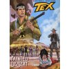 Tex. Painted desert (Mauro Boselli,Angelo Stano)(Pevná)