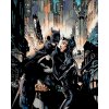 ZUTY Maľovanie podľa čísel - BATMAN A CATWOMAN Rámovanie: bez rámu a bez vypnutia plátna, Rozmer: 40x50 cm