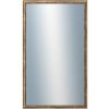 DANTIK TRITON 60x100 cm zlatá 2142