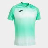 TIGER V SHORT SLEEVE T-SHIRT dres / tričko zelená čierna 5XS